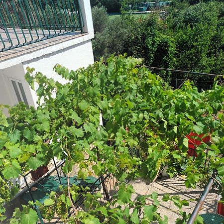 Apartment Jo 杜布罗夫尼克 外观 照片